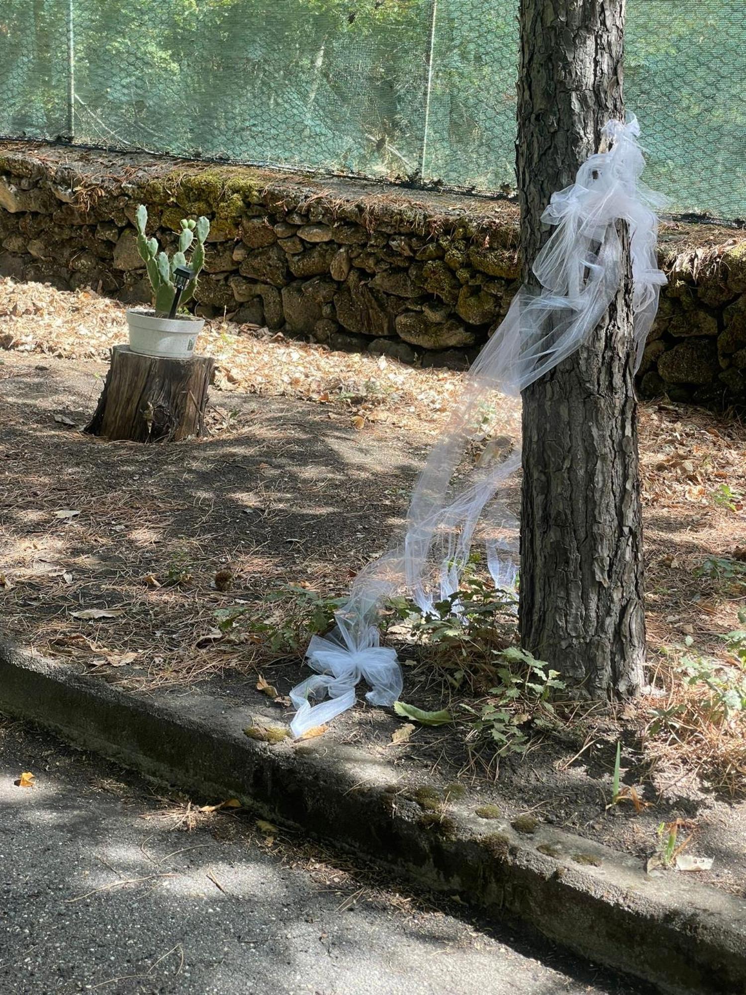 Ln Etna House-Villa Ad Uso Esclusivo Pedara Εξωτερικό φωτογραφία