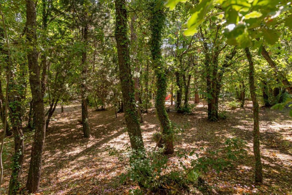 Ln Etna House-Villa Ad Uso Esclusivo Pedara Εξωτερικό φωτογραφία